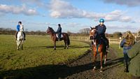 On The Gallops 2